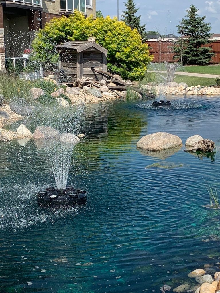 pond fountain